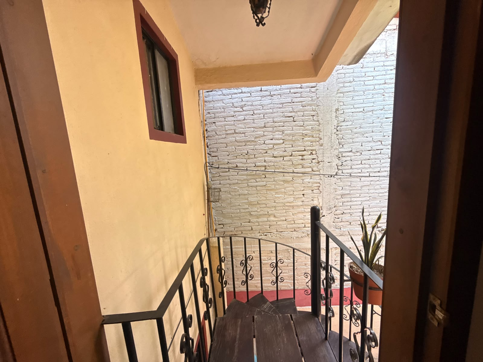FURNISHED APARTMENT IN COLONIA REFORMA OAXACA
